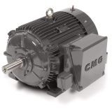 Electrik Motor Merk CMG