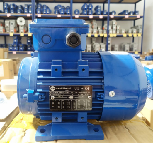 Electrik Motor Merk MARELLI