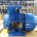 Electrik Motor Merk MARELLI