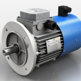 Electrik Motor Merk MOTOVARIO