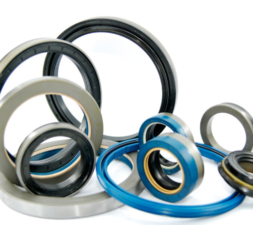 Oil Seal & O Ring