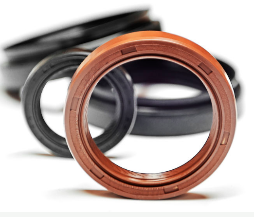 Oil Seal & O Ring1